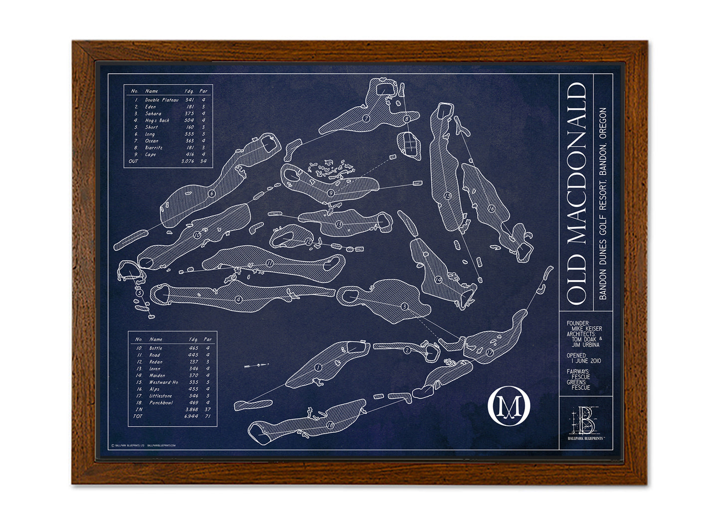 Ballpark Blueprint- Framed Canvas